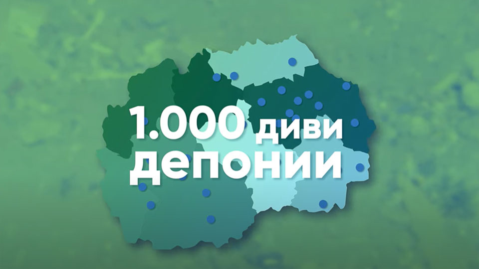 1000 диви депонии